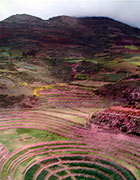 «Estación experimental inca», fotografía digital.